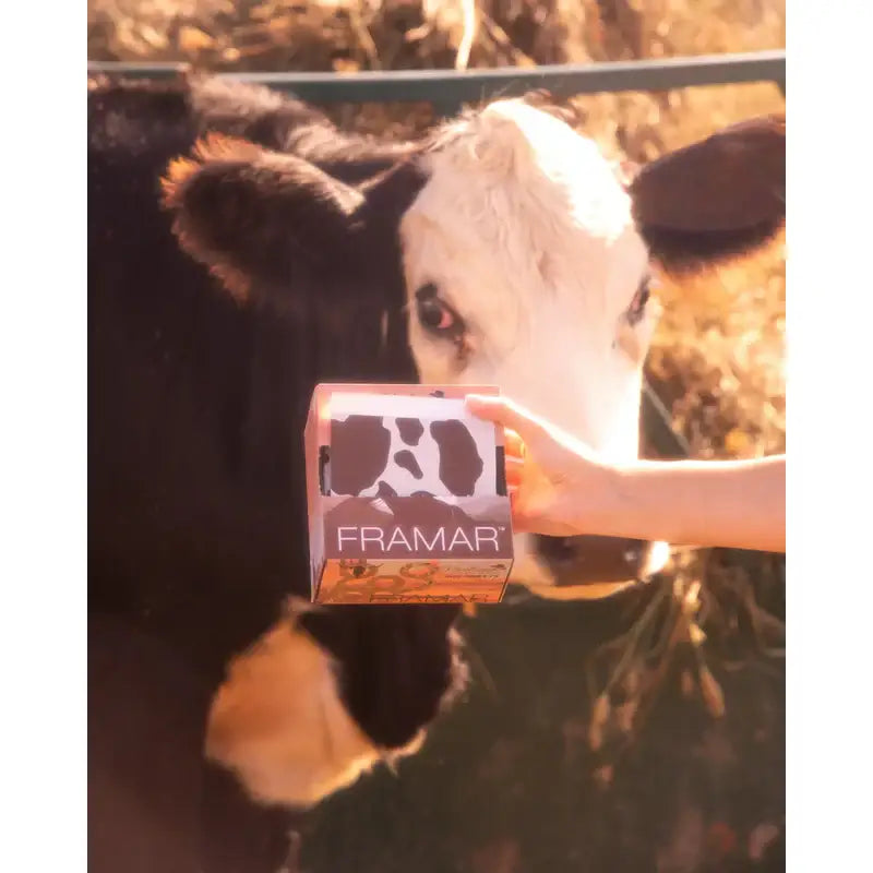 Framar Yeehaw Melírfólia 500db